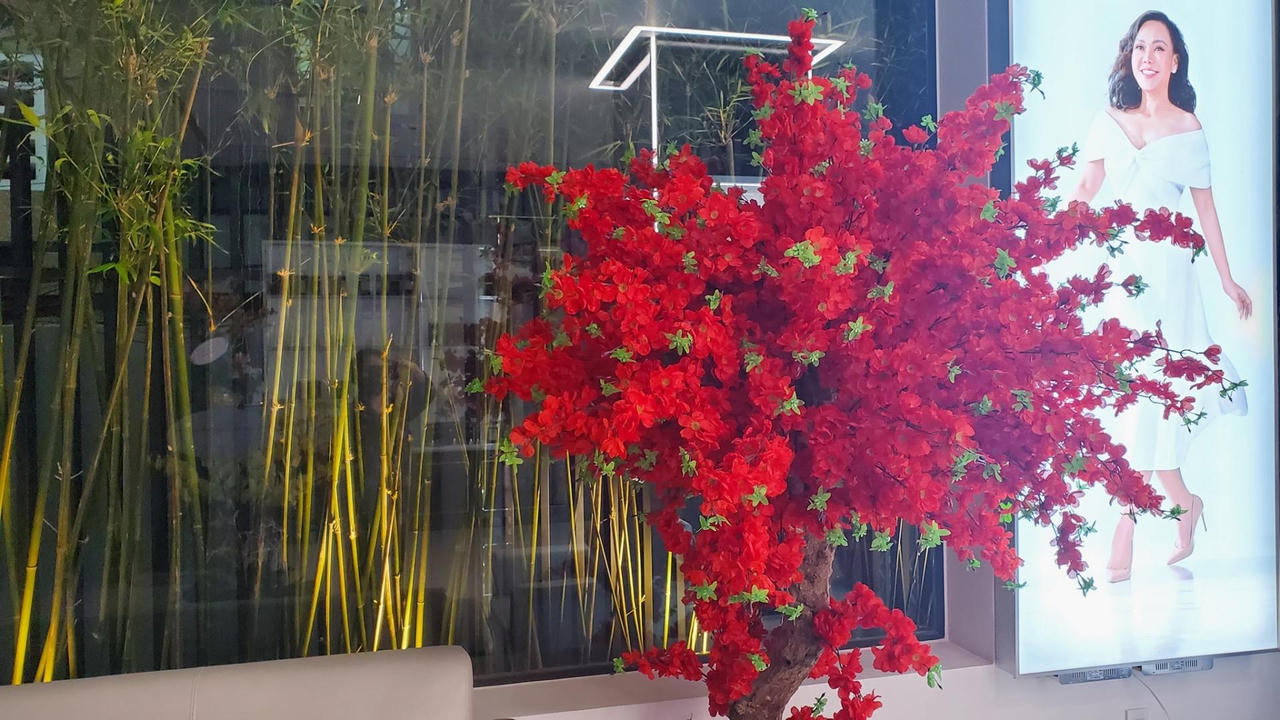 Biệt thự bạc tỷ có thang máy của Việt Hương tại TP HCM