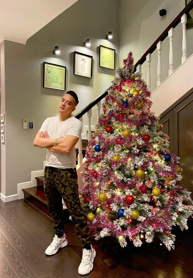 Cận cảnh biệt thự triệu đô của Cao Thái Sơn