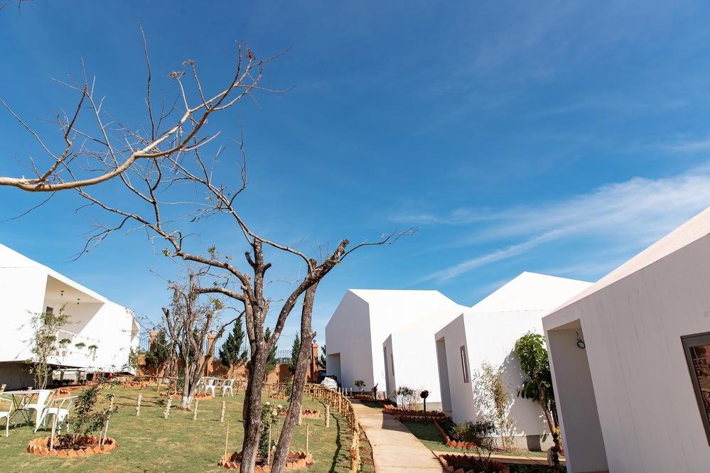 Sao Việt "đua" nhau sắm nhà đất tại Đà Lạt