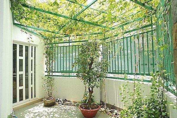 Cận cảnh ngôi biệt thự 17 tỷ, nằm giữa lòng Sài Gòn của diễn viên hài Nhật Cường