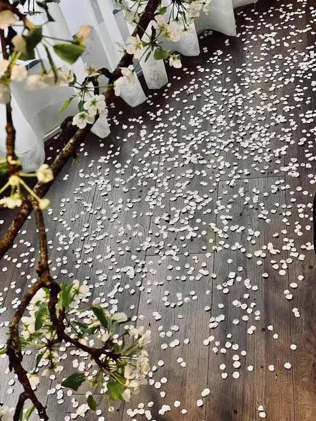 Siêu biệt thự đẹp đẳng cấp, vạn người mê của BTV Ngọc Trinh