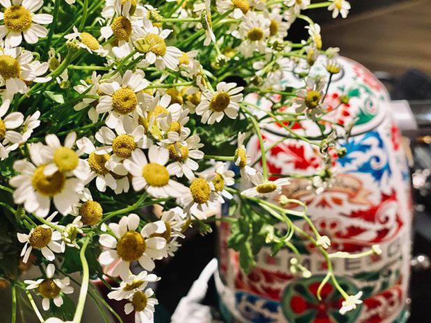 Siêu biệt thự đẹp đẳng cấp, vạn người mê của BTV Ngọc Trinh