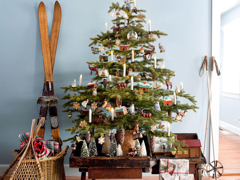 Cách trang trí cây thông Noel cho mùa Giáng sinh