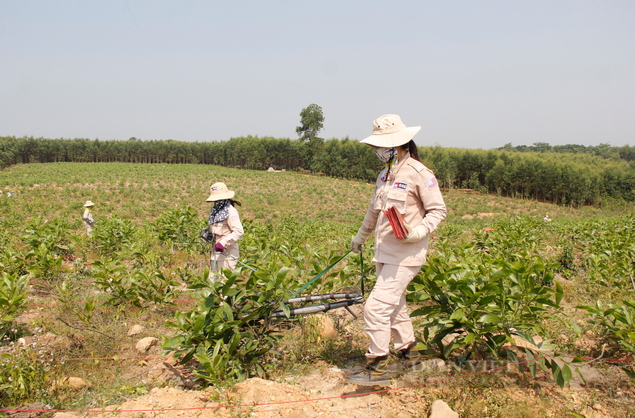  Bộ Ngoại giao thông tin về nhiều hoạt động đối ngoại nổi bật
