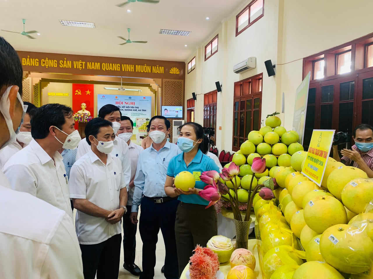 Xúc tiến kết nối trực tuyến tiêu thụ bưởi Phúc Trạch trực tiếp hơn 300 điểm cầu trong cả nước