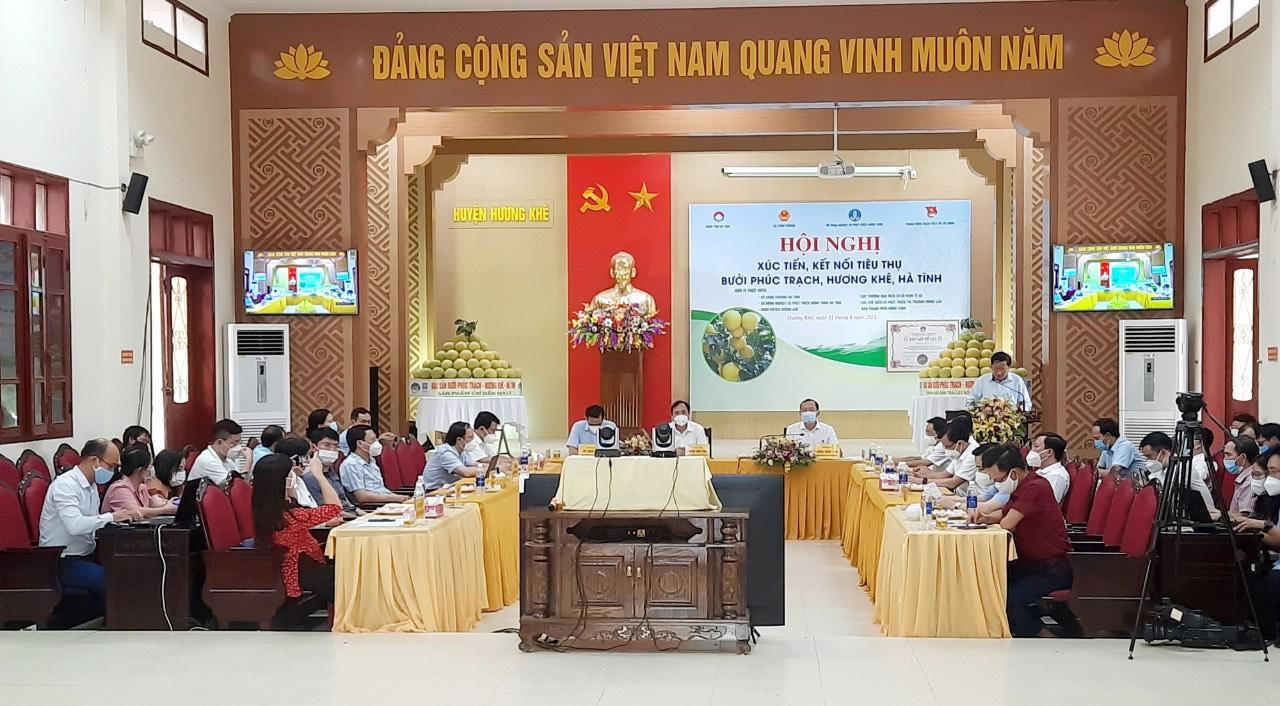 Xúc tiến kết nối trực tuyến tiêu thụ bưởi Phúc Trạch trực tiếp hơn 300 điểm cầu trong cả nước