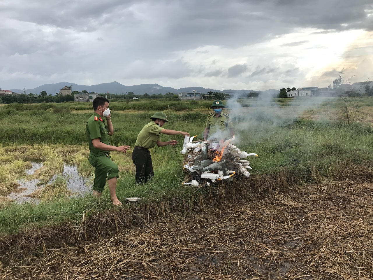 Hà Tĩnh truy quét nạn săn bắt chim trời mùa di cư