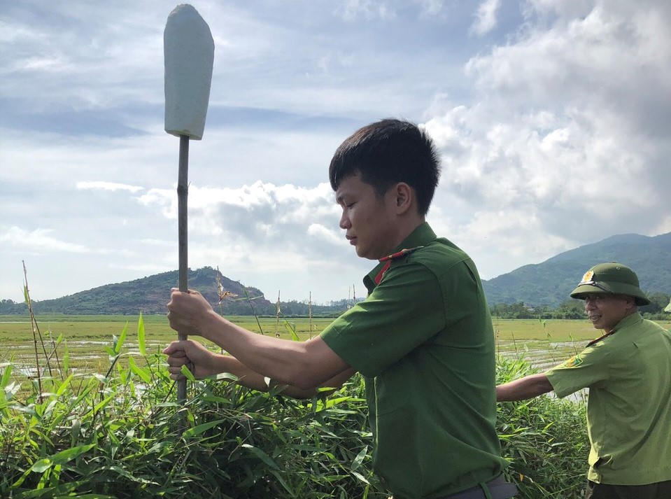 Hà Tĩnh truy quét nạn săn bắt chim trời mùa di cư