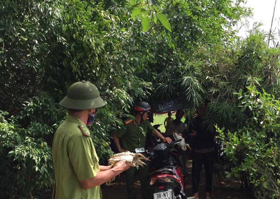 Hà Tĩnh truy quét nạn săn bắt chim trời mùa di cư