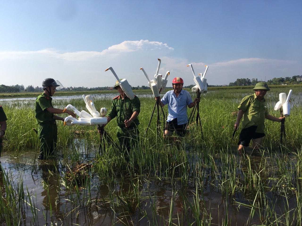 Hà Tĩnh truy quét nạn săn bắt chim trời mùa di cư