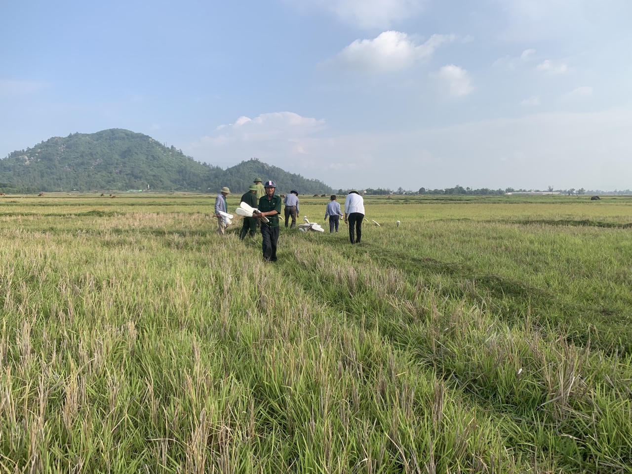 Hà Tĩnh truy quét nạn săn bắt chim trời mùa di cư