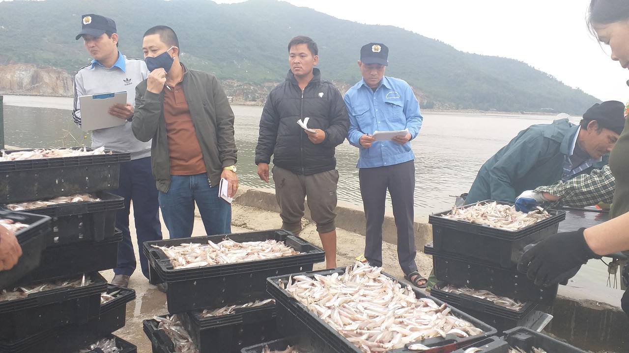 Hà Tĩnh 'siết' quản lý về chống khai thác IUU