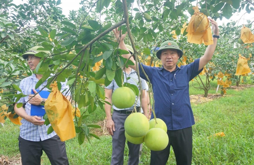 Tốc độ tăng trưởng kinh tế của Hà Tĩnh đạt 8,05% đứng thứ 15 toàn quốc