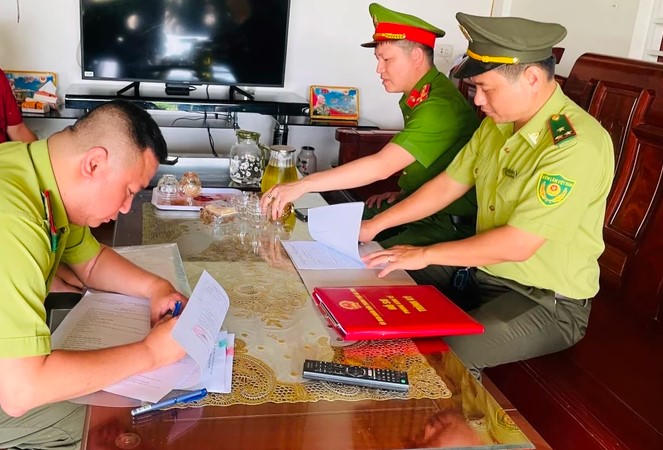 Hà Tĩnh: Tiếp nhận cá thể chim diều hoa Miến Điện quý hiếm để thả về tự nhiên