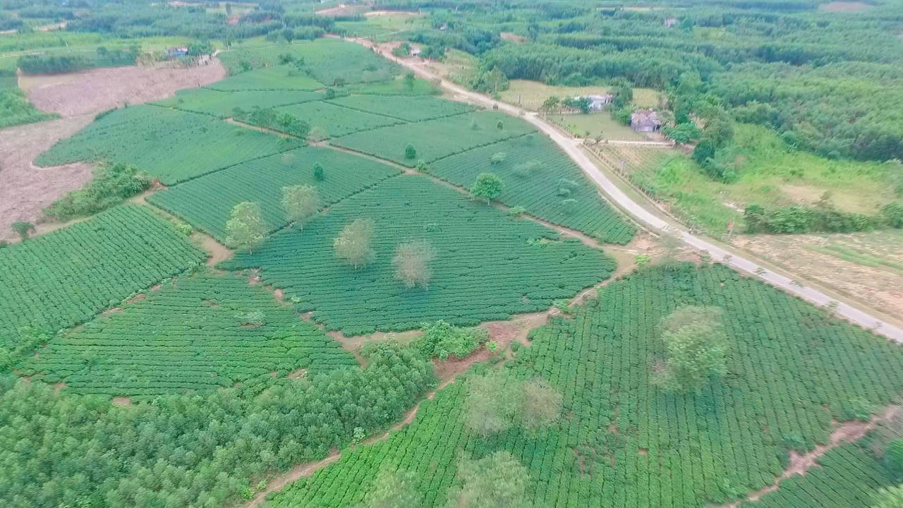 Huyện Kỳ Anh (Hà Tĩnh): Khởi sắc trong phong trào xây dựng nông thôn mới