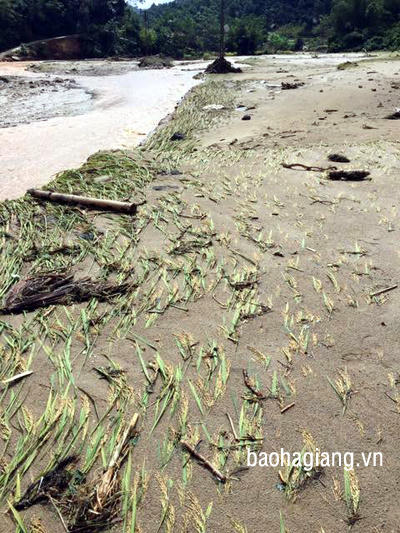 Lũ ống, sạt lở đất ở Hà Giang làm 1 người chết, 1 người mất tích