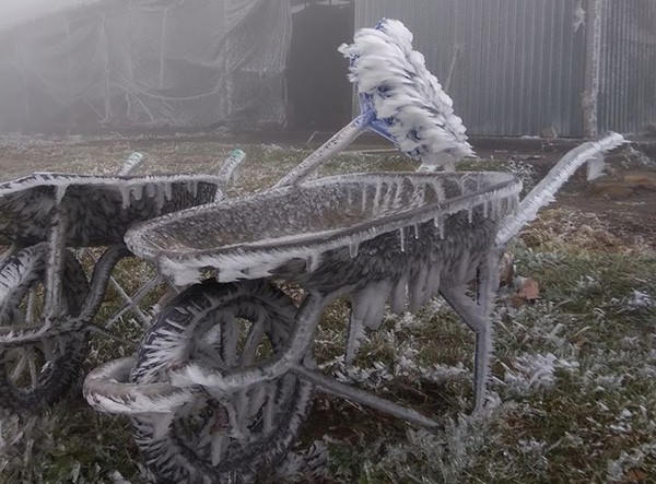 Ấn tượng cảnh ô tô, xe máy bị băng tuyết tạo hình khác lạ ở Mẫu Sơn