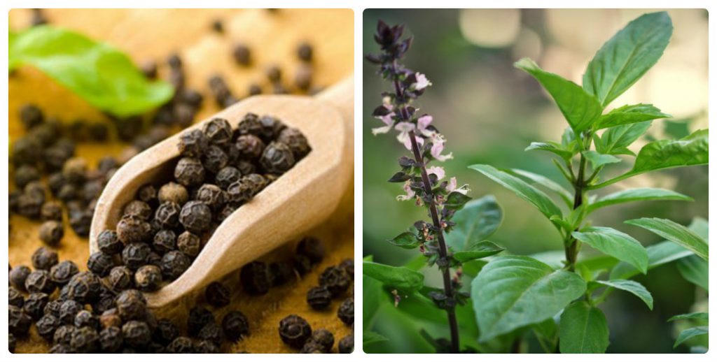 Cách điều trị chảy máu chân răng hiệu quả tại nhà