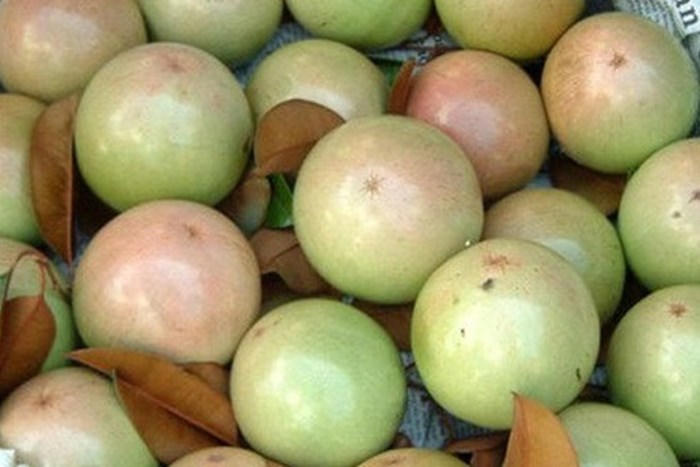 Các loại hoa quả ăn nhiều cơ thể càng nóng 