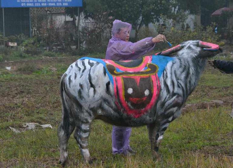 Độc đáo 'trâu hóa hổ' ngày lễ Tịch điền năm Nhâm Dần