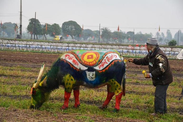Độc đáo 'trâu hóa hổ' ngày lễ Tịch điền năm Nhâm Dần