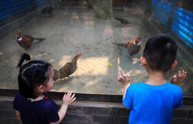 Ngàn người 'đổ' về công viên Thủ Lệ trong sáng 30/4 