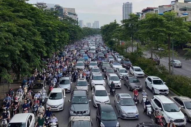 Cành đa cổ thụ gãy cành chắn ngang đường Hà Nội