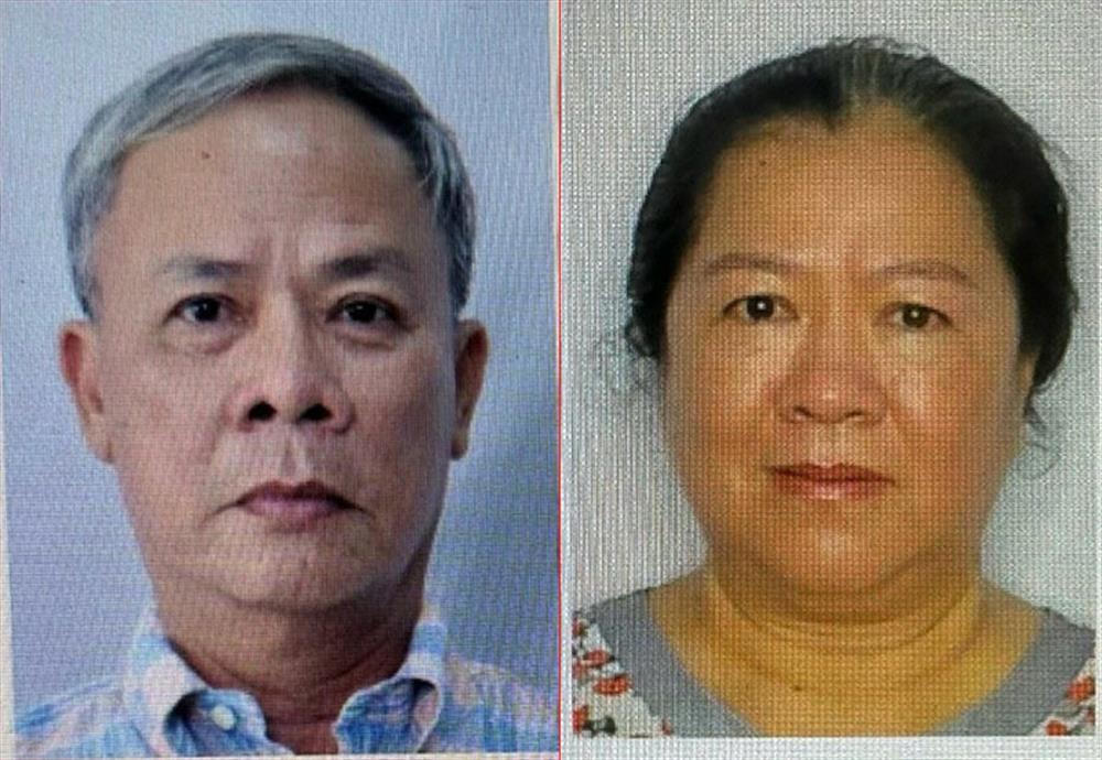 Khởi tố Chủ tịch HĐQT Công ty Cổ phần Phát triển và Kinh doanh Nhà