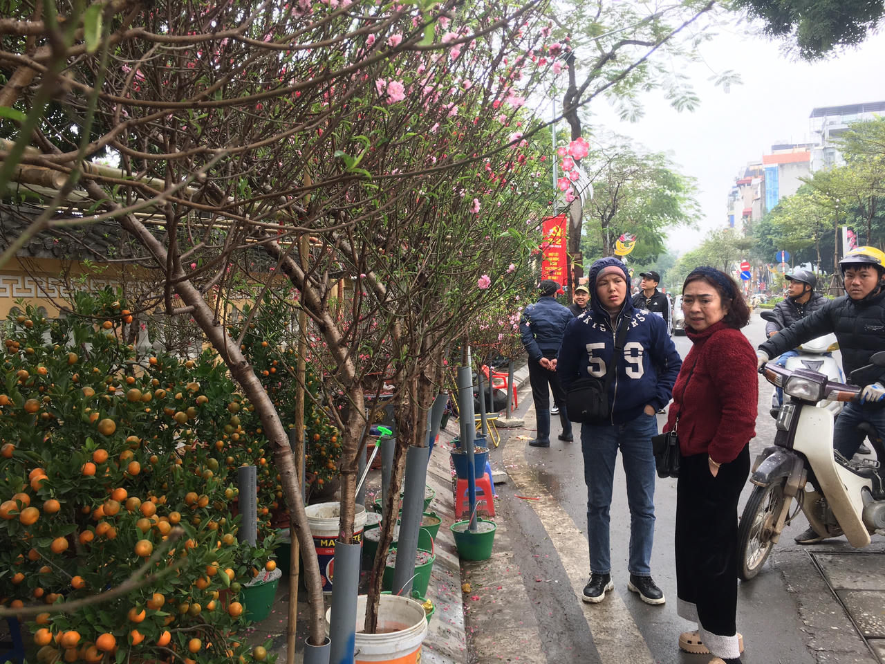  Người dân Thủ đô nhộn nhịp mua sắm đào, quất đón Tết Giáp Thìn 