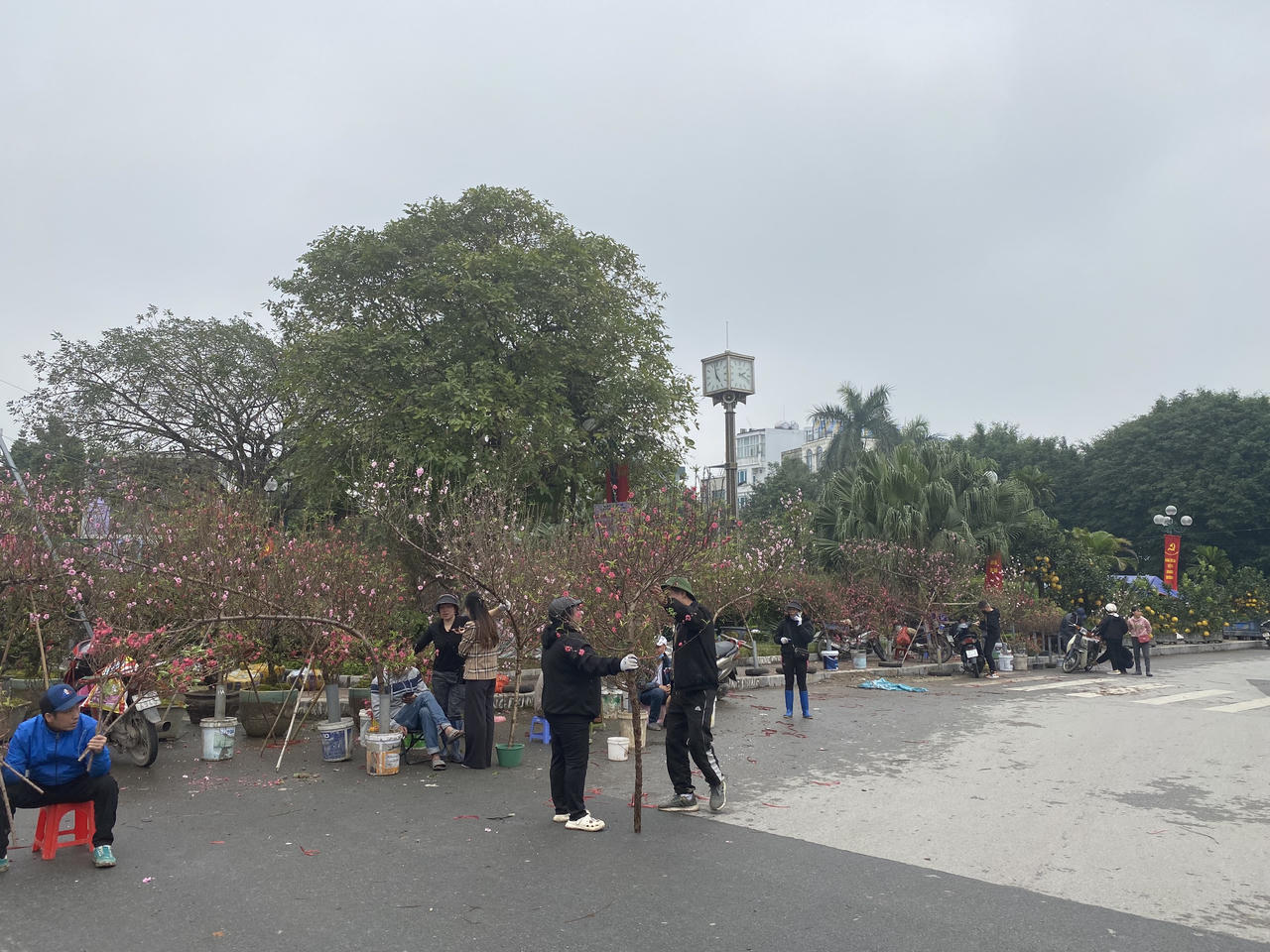  Người dân Thủ đô nhộn nhịp mua sắm đào, quất đón Tết Giáp Thìn 