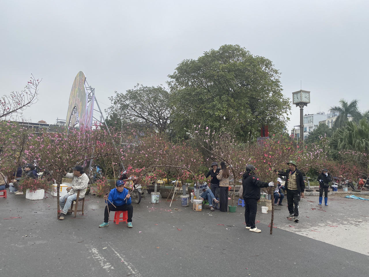  Người dân Thủ đô nhộn nhịp mua sắm đào, quất đón Tết Giáp Thìn 