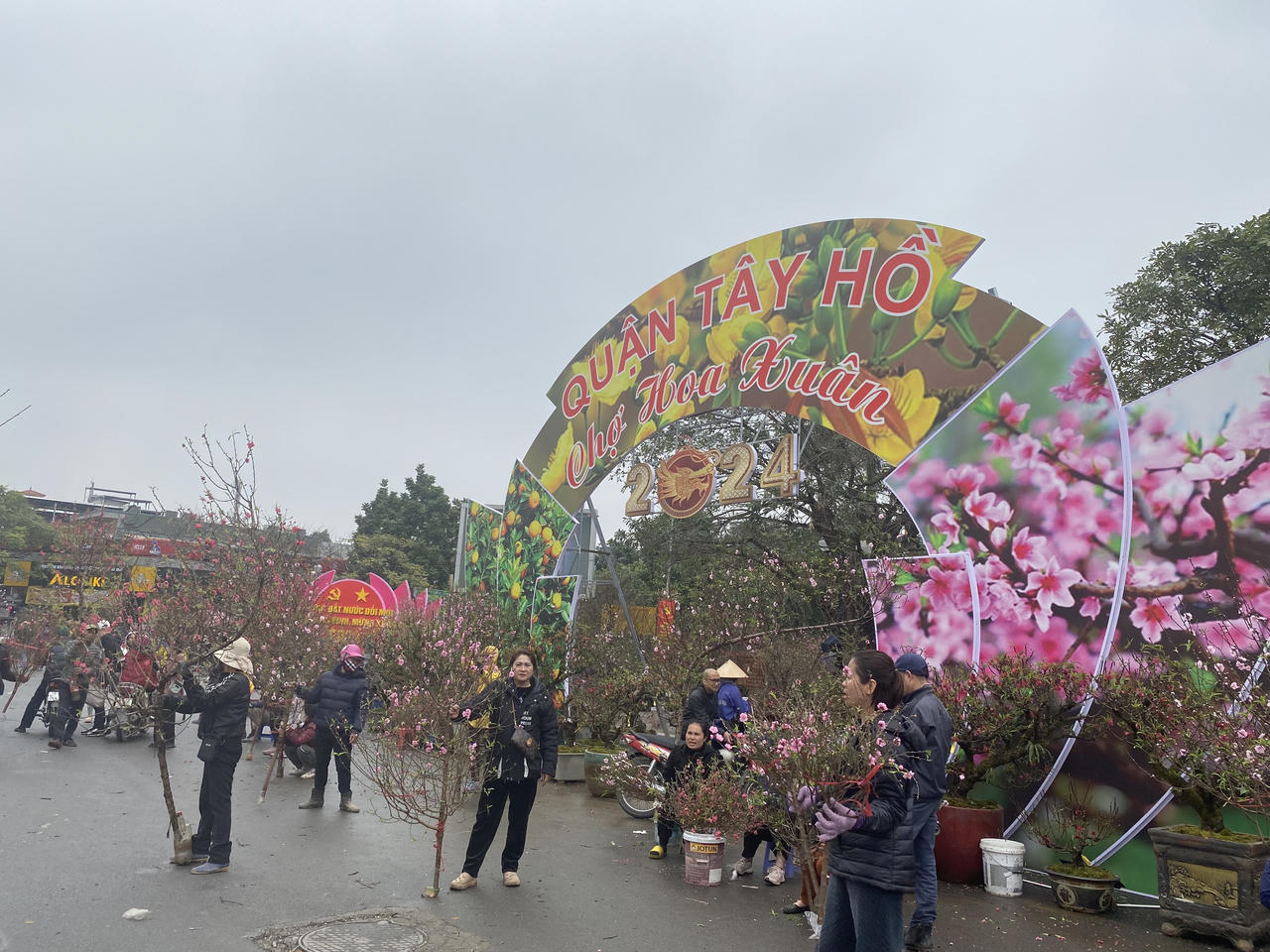  Người dân Thủ đô nhộn nhịp mua sắm đào, quất đón Tết Giáp Thìn 