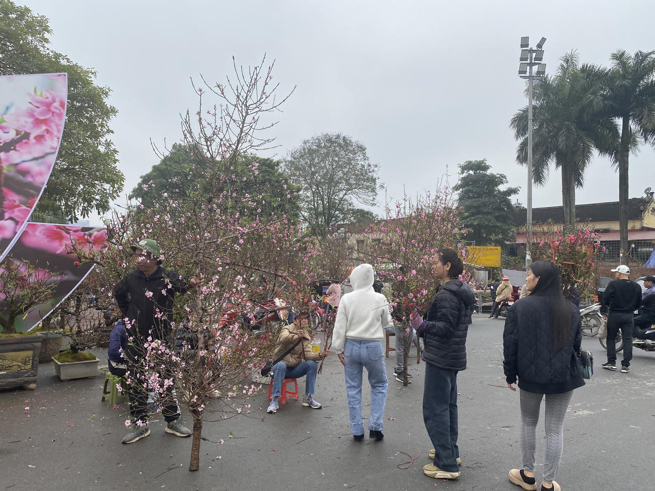  Người dân Thủ đô nhộn nhịp mua sắm đào, quất đón Tết Giáp Thìn 
