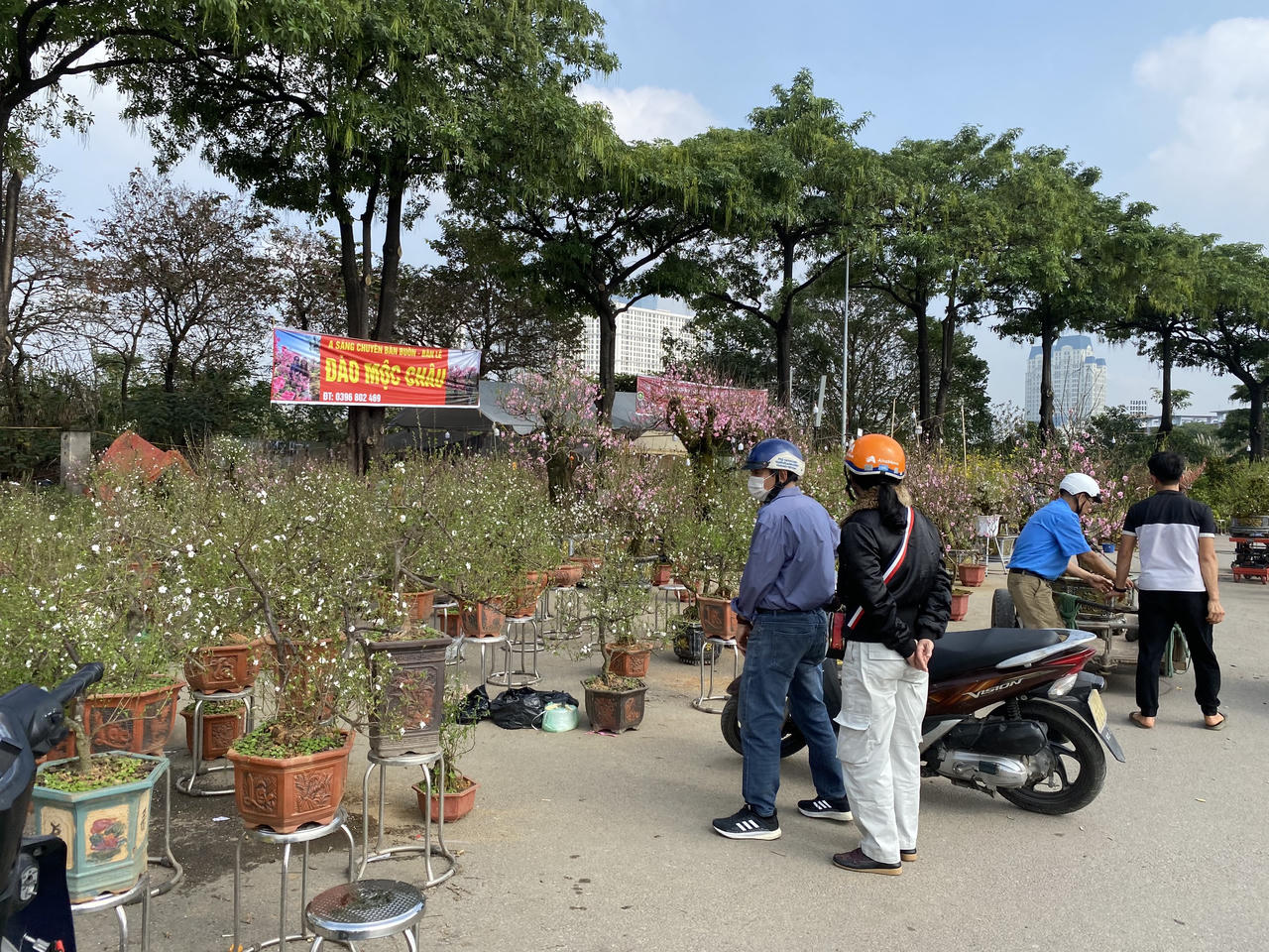  Người dân Thủ đô nhộn nhịp mua sắm đào, quất đón Tết Giáp Thìn 