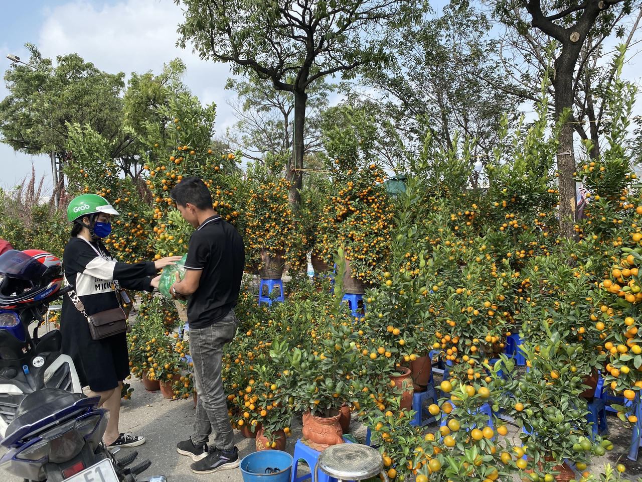  Người dân Thủ đô nhộn nhịp mua sắm đào, quất đón Tết Giáp Thìn 