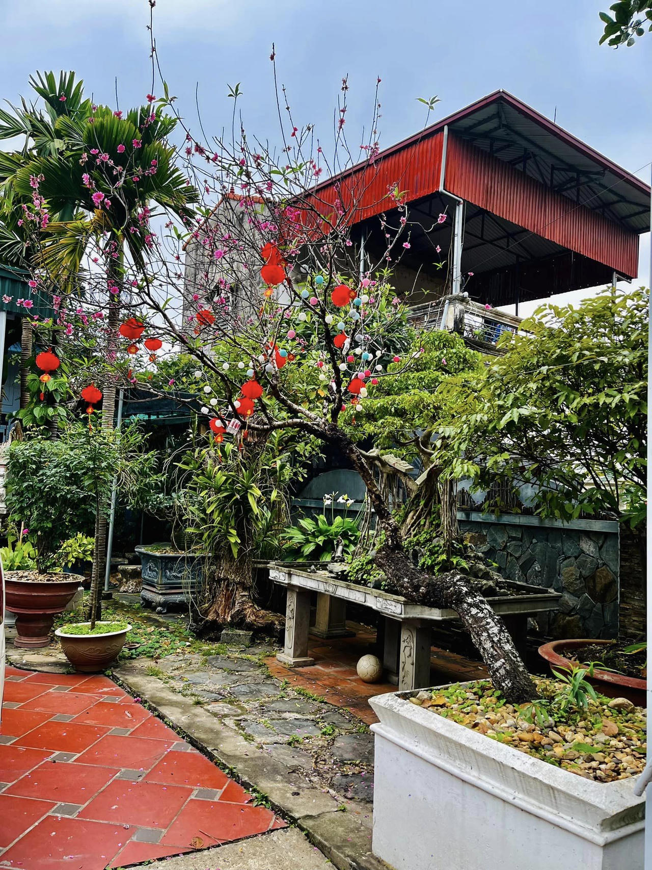 Độc đáo tiểu cảnh Tết xưa tại các gia đình Việt