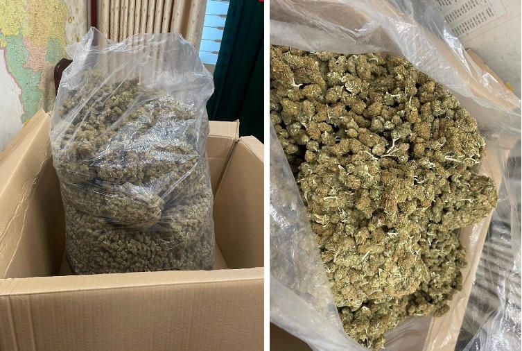 Công an Hà Nội triệt phá đường dây ma túy, thu giữ hơn 700kg cần sa