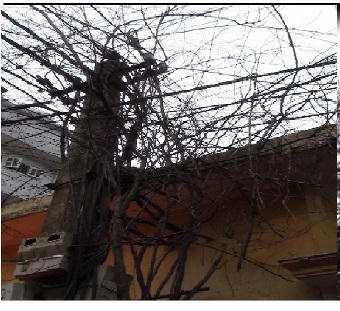 Hà Nội: Hành lang an toàn lưới điện bị “san phẳng“