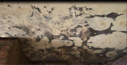 Đô thị Nam Trung Yên: "Sống trong sợ hãi" vì chất lượng nhà chung cư