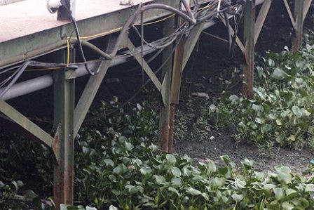 Nhà nổi Hồ Tây: To chình ình mà không tìm được chủ?