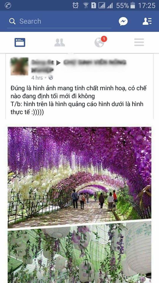 “Vỡ mộng” với đường hầm hoa Savigo Megamall Long Biên