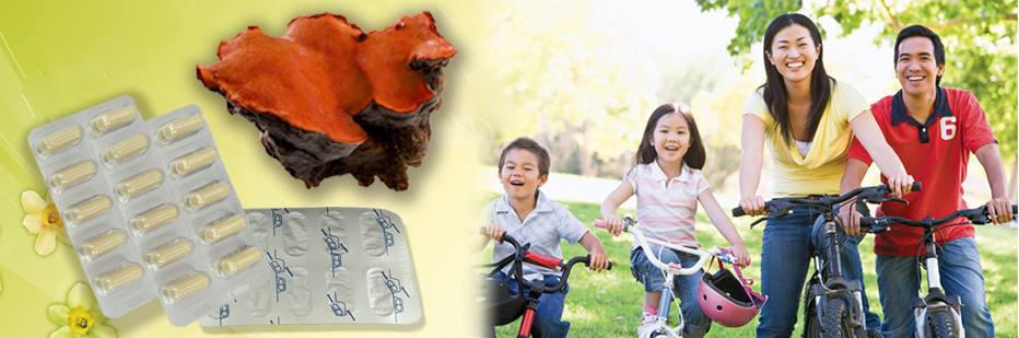  Nấm ngưu chương Quốc bảo Đài Loan – “Viên hồng ngọc” trong rừng