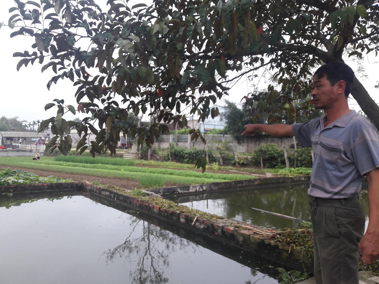 Vụ quy hoạch mặt bằng ở Thanh Hóa: UBND xã bảo sai, UBND huyện bảo đúng, ai chịu trách nhiệm ?