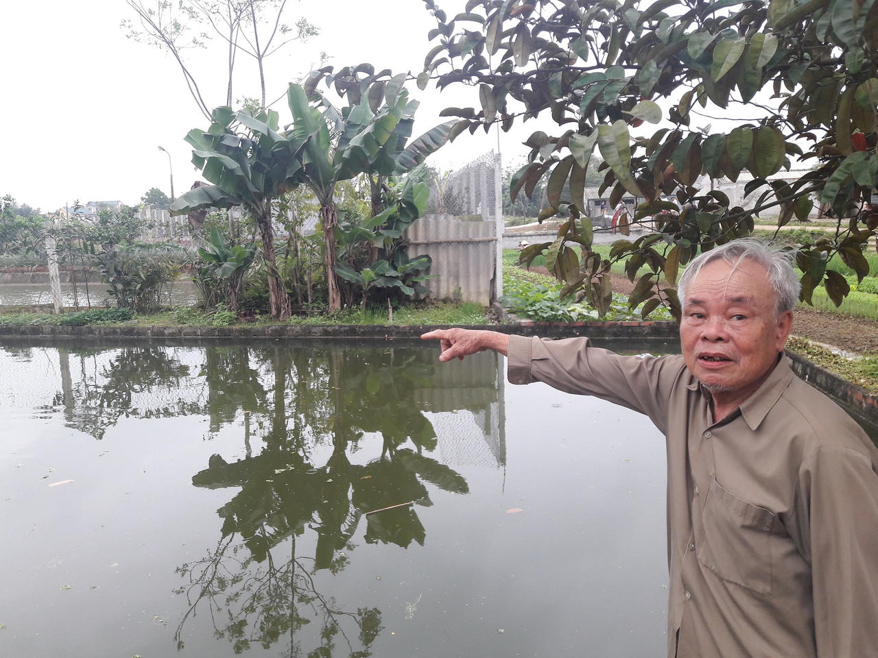 Thanh Hóa: Quy hoạch mặt bằng, đấu giá đất theo kiểu “treo đầu dê, bán thịt chó“? 