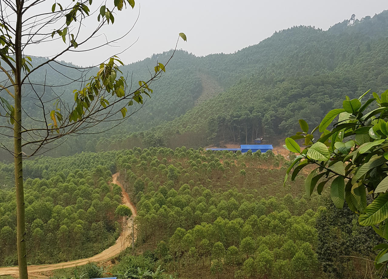 Xã Ngọc Thanh - TX Phúc Yên: Ngang nhiên “xẻ thịt” rừng phòng hộ xây lò đốt than?