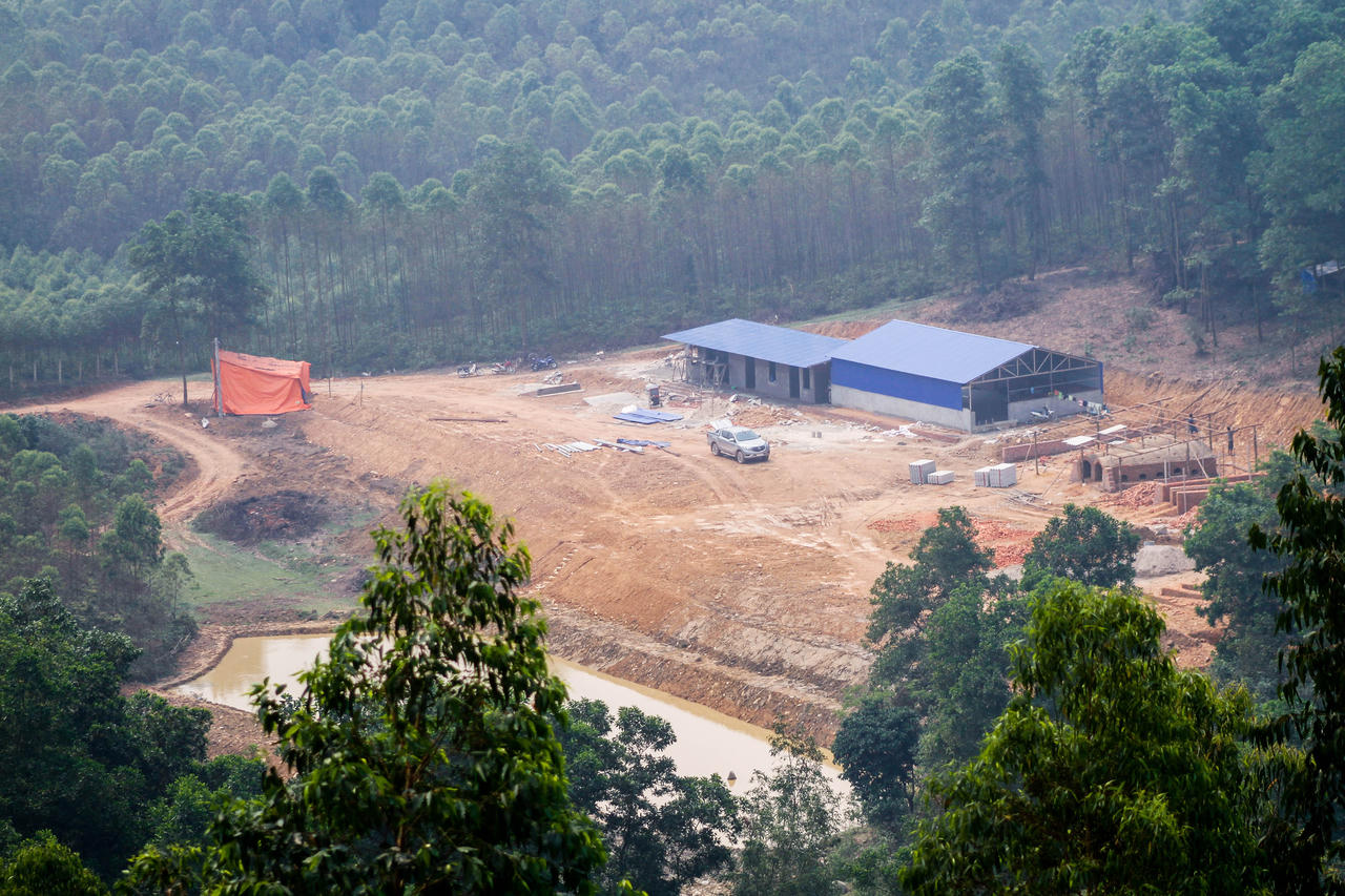 Cận cảnh công trường “xẻ thịt” rừng phòng hộ tại Xã Ngọc Thanh - TX Phúc Yên