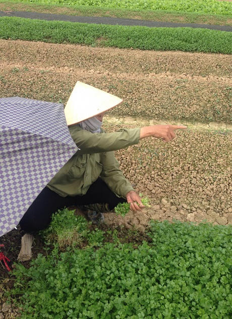 Trạm trộn bê tông Sông Đà – Việt Đức : Sản xuất hay “bức tử” nguồn nước?