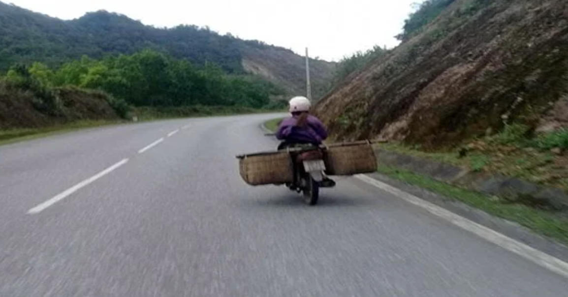 Quảng Ninh: Liên tiếp bắt giữ nhiều vụ nhập lậu lợn từ biên giới