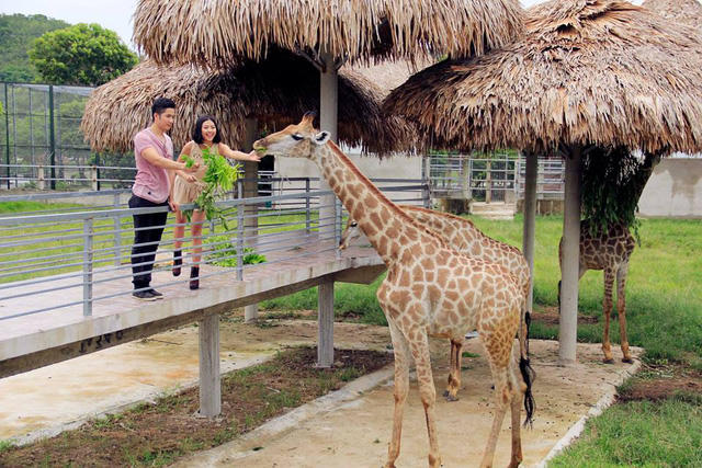 Khu du lịch sinh thái Diễn Lâm: Nơi trải nghiệm cung bậc cuộc sống