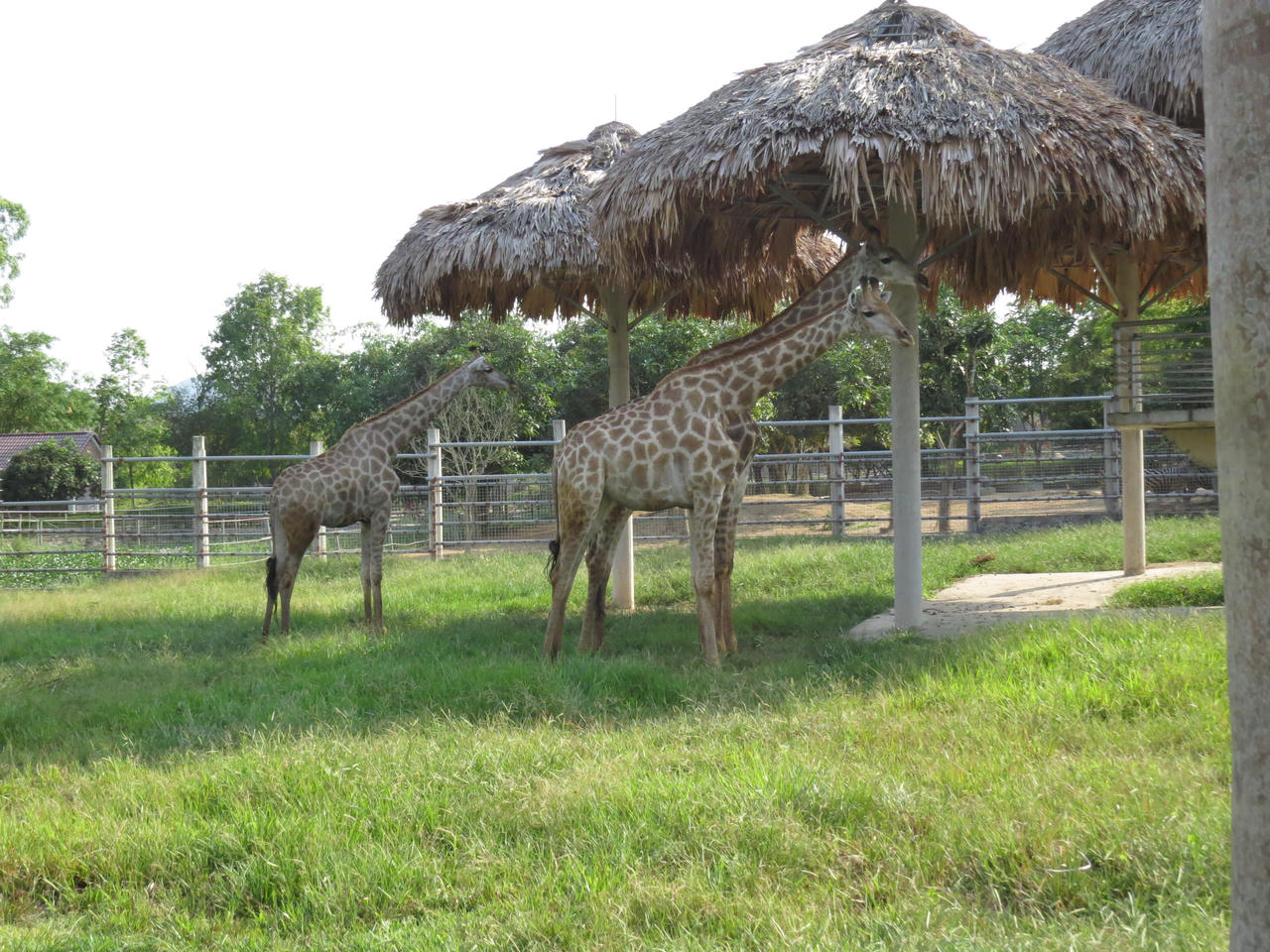 Khu du lịch sinh thái Diễn Lâm: Nơi trải nghiệm cung bậc cuộc sống